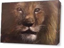 African Lion As Canvas