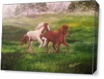 Horse Play - Gallery Wrap Plus