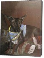 Mojo The Mexican Hairless - Gallery Wrap