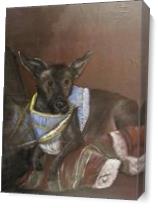 Mojo The Mexican Hairless - Gallery Wrap Plus
