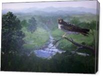 Red Tailed Hawk - Gallery Wrap