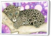 Baby Jaguar - Gallery Wrap