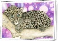 Baby Jaguar - Standard Wrap
