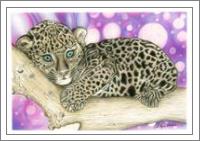 Baby Jaguar - No-Wrap