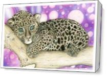 Baby Jaguar As Canvas