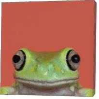 Natural Selection. Tree Frog. - Gallery Wrap