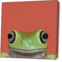Natural Selection. Tree Frog. As Canvas