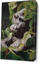 Gorilla As Canvas