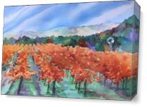 Autumn Vineyard As Canvas