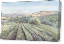 Bartholemew Vineyards As Canvas
