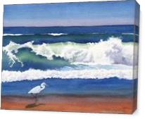 Beach Egret - Gallery Wrap