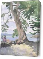 Crab Cove Couple As Canvas
