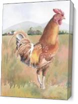 Little Red Rooster As Canvas