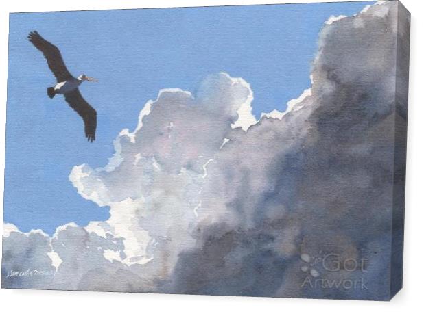 Pelican In The Clouds