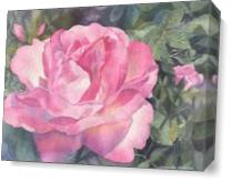 Pink Rose - Gallery Wrap Plus