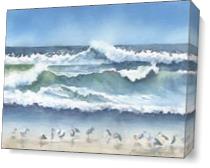 Seagulls On The Beach As Canvas