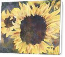 Sunflowers - Standard Wrap