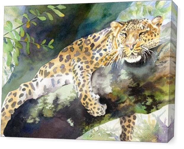 Big Cat Rescue Leopard