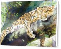 Big Cat Rescue Leopard - Standard Wrap