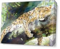 Big Cat Rescue Leopard - Gallery Wrap Plus