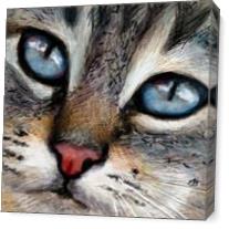 Cat - Blue Eyes As Canvas