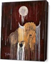 Buffalo Spirit As Canvas