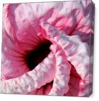 Hibiscus Abstract As Canvas