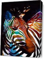 Color Zebra As Canvas
