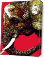Elephant As Canvas