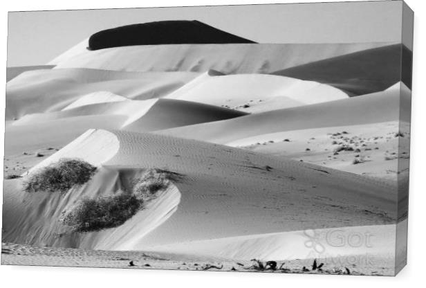 Sand Dune Sculptures