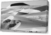 Sand Dune Sculptures As Canvas