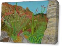 Pima Canyon In Arizona Desert - Gallery Wrap Plus