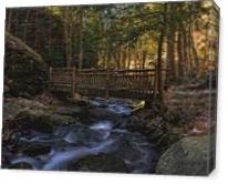 Old Wooden Bridge Over Pond Run Creek - Gallery Wrap