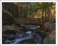 Old Wooden Bridge Over Pond Run Creek - No-Wrap