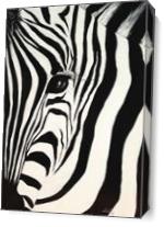 The Zebra With One Eye As Canvas