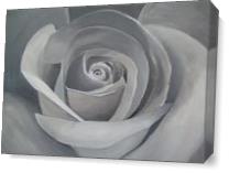 Grey Rose II As Canvas
