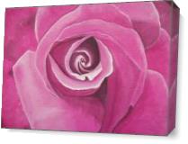 Pink Rose II As Canvas