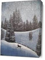 Snowscape With Horse As Canvas