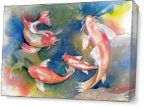 Don T Be Koi As Canvas