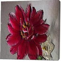 Lisas Red Flower - Gallery Wrap