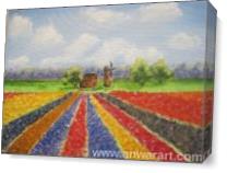 Tulip Fields As Canvas