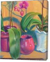 Orchids - Gallery Wrap