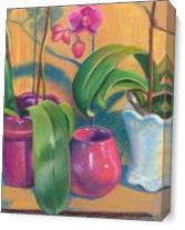 Orchids As Canvas