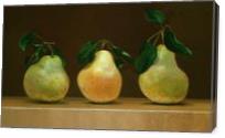 Pear Trio - Gallery Wrap