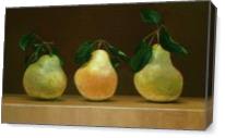 Pear Trio - Gallery Wrap Plus