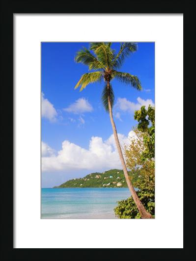 Magens Bay Beach St Thomas Virgin Islands Photograph By Roupen Baker
