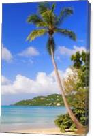 Magens Bay Beach St Thomas Virgin Islands Photograph By Roupen Baker - Gallery Wrap