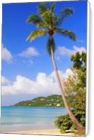 Magens Bay Beach St Thomas Virgin Islands Photograph By Roupen Baker - Standard Wrap