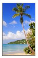 Magens Bay Beach St Thomas Virgin Islands Photograph By Roupen Baker - No-Wrap