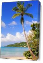 Magens Bay Beach St Thomas Virgin Islands Photograph By Roupen Baker - Gallery Wrap Plus